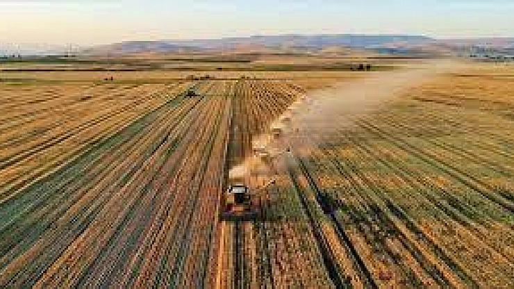 478 projeye 1 milyar destek