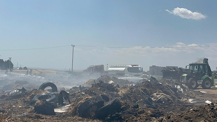 5 bin 600 ot balyası yanmıştı: Tekrar alevlendi