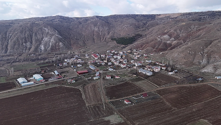 5 fidanla başladı, 3 bin ağaca ulaştı