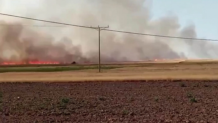 500 dönüm tarla kül oldu