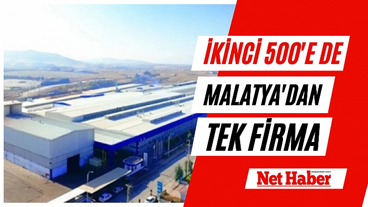 500 firmada tek Malatyalı