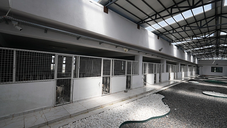 500 hayvan kapasiteli yeni barınak