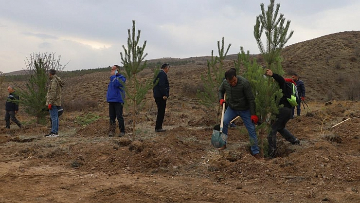 58 bin fidan toprakla buluşturuldu