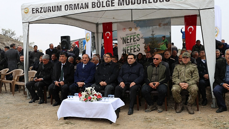 6 ilde 56 bin 500 fidan toprakla buluştu