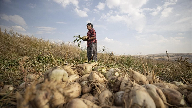 6 Şubat'ta Ertelenen Borçlar Katlandı: Depremzede Çiftçiye Faiz Şoku!