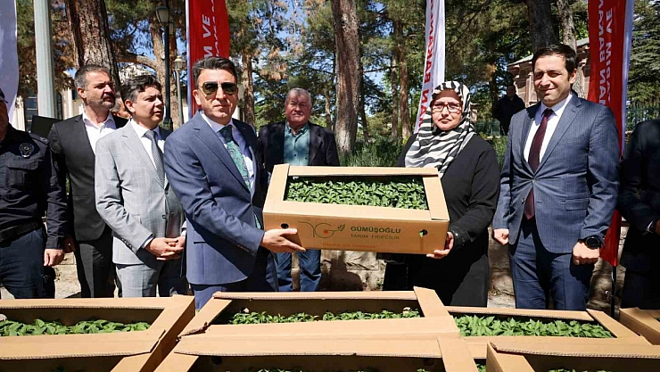 Bilecik'te on binlerce tohum dağıtıldı
