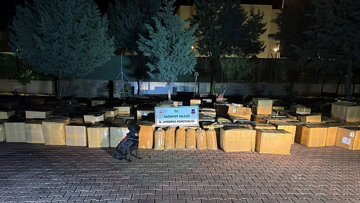 7 ton kaçak tütün ele geçirildi: 1 gözaltı