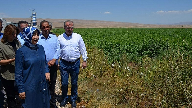 90 bin dekar arazi suyla buluştu