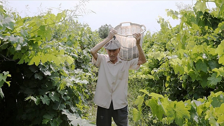 91 yaşındaki çiftçi topraktan kopamıyor