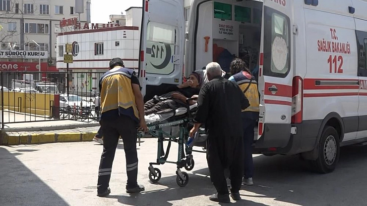 Acemi kasaplar hastanelik oldu