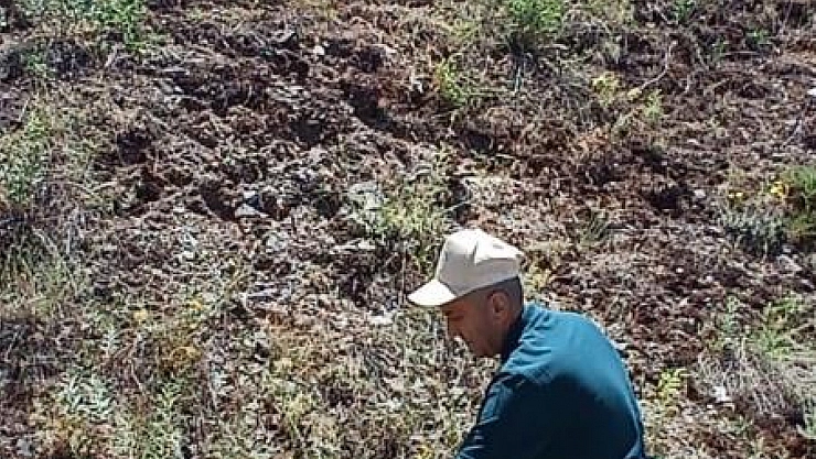 Ada çayı izleme çalışması yapıldı