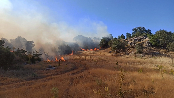 Adıyaman'da orman yangını korkuttu