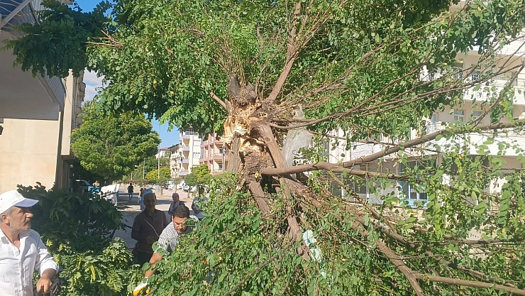 Adıyaman Gölbaşı'nda fırtına etkili oldu