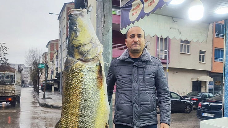 Ağa takılan dev turna şaşırttı