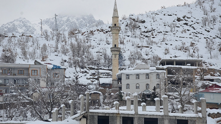 Ağaç dalları kara dayanamadı