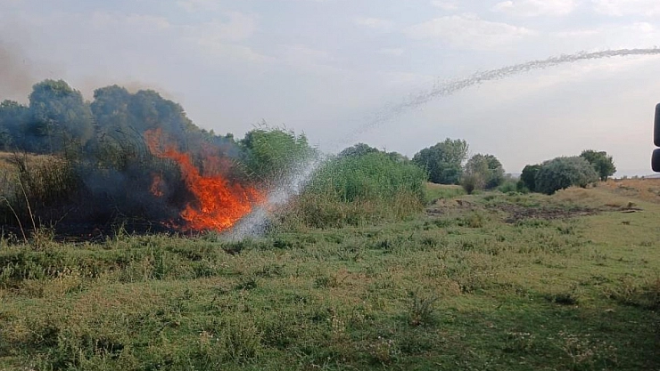 Ağaçlık alanda yangın çıktı