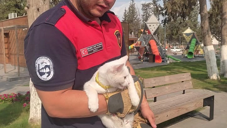 Ağaçta mahsur kalan kediyi itfaiye kurtardı