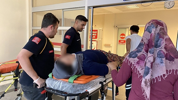 Ağaçtan düşen kadın yaralandı