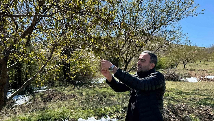 Malatya'nın altını Akçadağ'da dondu