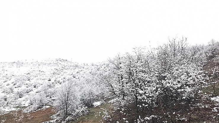 Akçadağ'da kar yağışı etkili oluyor