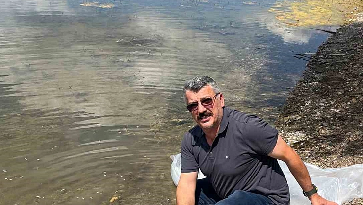 Barajlara 320 bin yavru balık bırakıldı