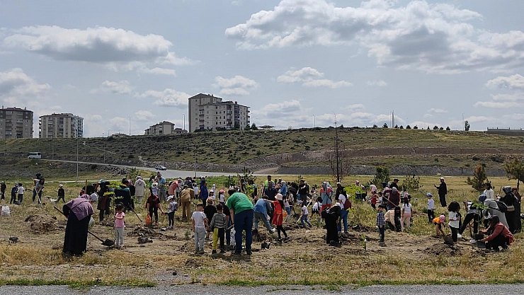 Anaokulu öğrencileri 500 fidan dikti