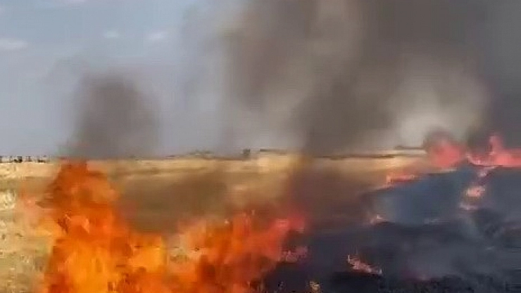 Anız yangını korkuttu