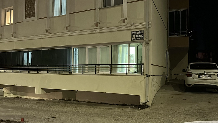 Anne ve oğlu evde ölü bulunmuştu: Cinayeti diğer oğlu işlemiş