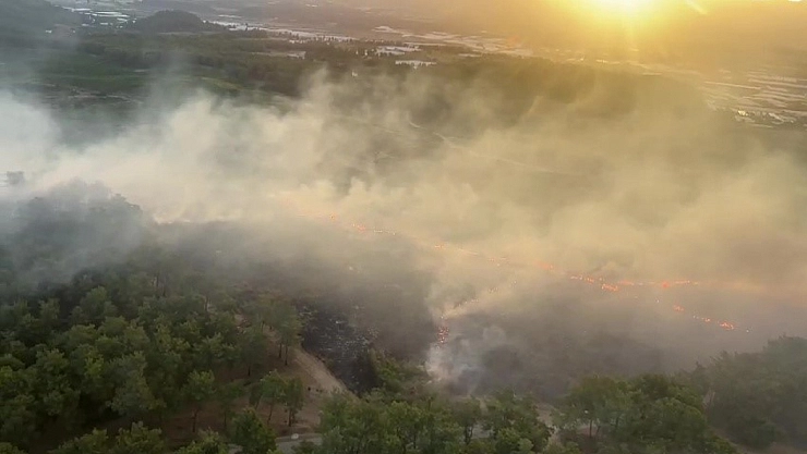 Antalya'da orman yangını kontrol altına alındı