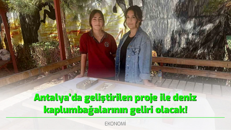 Antalya'da geliştirilen proje ile deniz kaplumbağalarının geliri olacak!