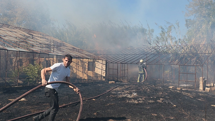 Antalya'da sazlık alanda yangın