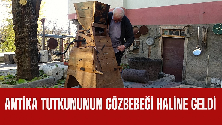 Antika tutkununun gözbebeği haline geldi