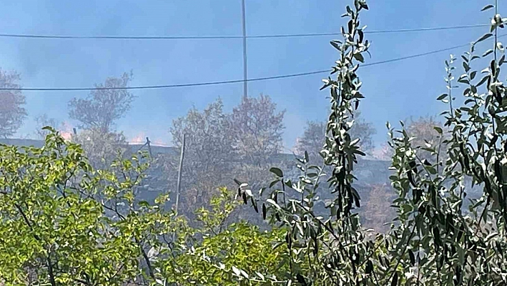 Meyve Ağaçları Zarar Gördü