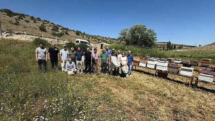 Arıcılık eğitimlerinde uygulama aşamasına geçildi