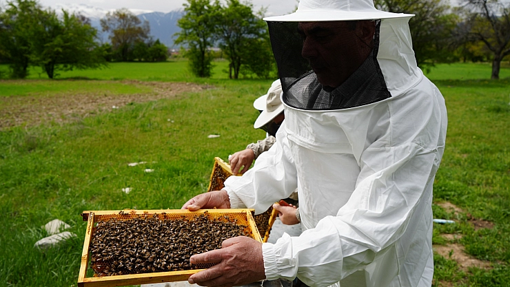 Arılar yeni sezona hazırlanıyor