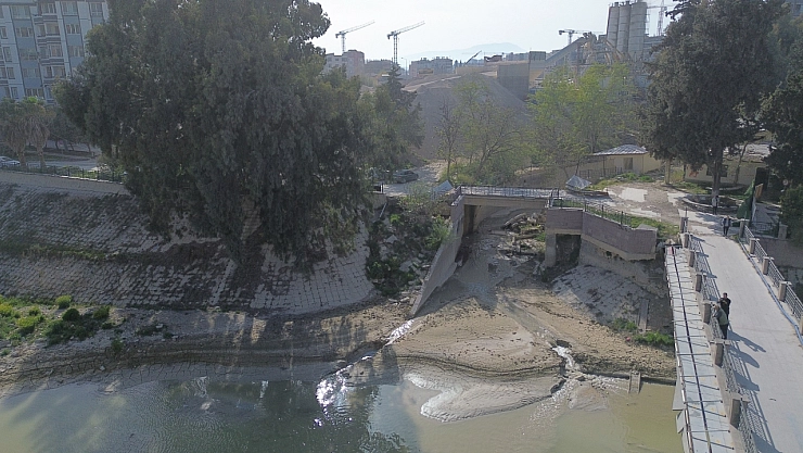 Asi Nehri'nde tedirgin eden balık ölümleri