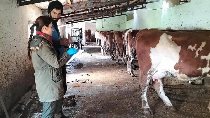 Aşı ve küpeleme çalışmaları başladı