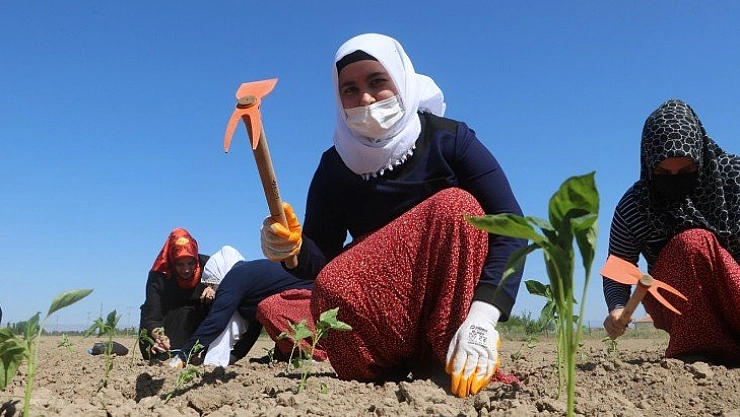 Fidanlar toprakla buluştu
