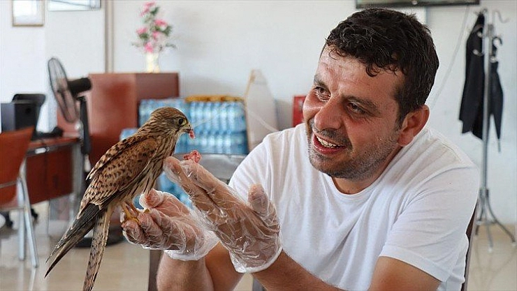 Atmaca ile lokantacının dostluğu