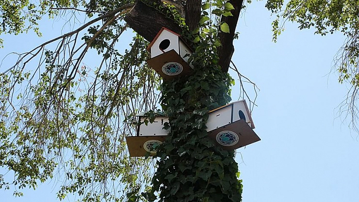Sokak hayvanları için sokaklara beslenme ünitesi