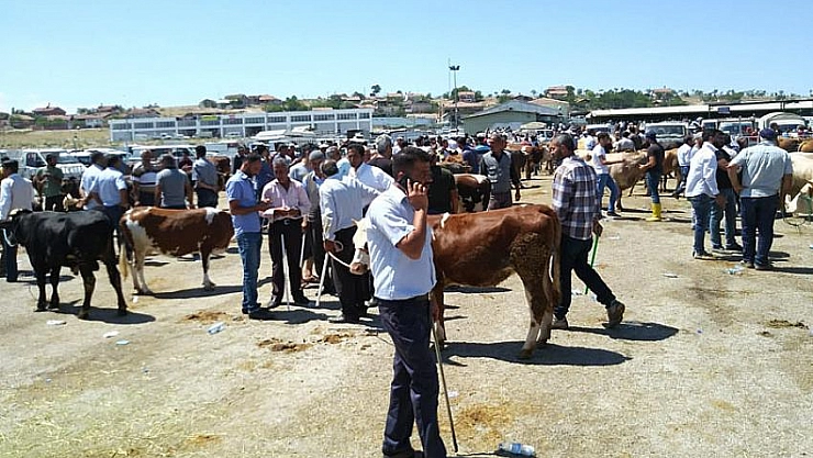 Hayvan pazarında arefe yoğunluğu