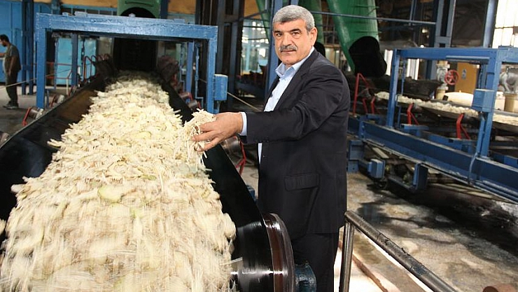 Hedef 300 bin ton pancar işleme