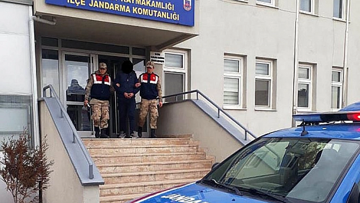 Kayısı hırsızlığı iddiası