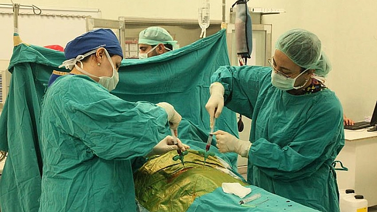 Afgan çocuğa ilik nakli 