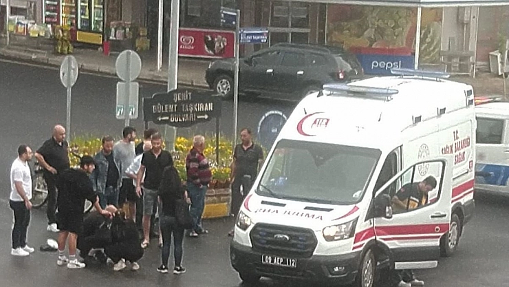 Aydın'da köpek vahşeti