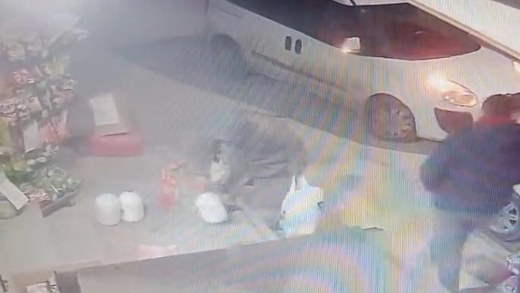 Ayran çalan kadın kameralara yakalandı