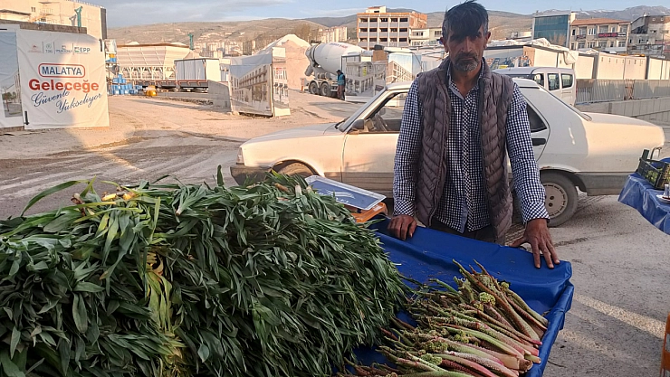 Baharın müjdecisi geldi: Malatya'da şifa deposu tezgahlarda yerini aldı