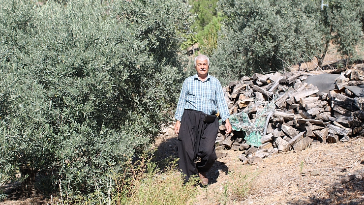 Bahçeler devlet desteği ile yeniden yeşerdi