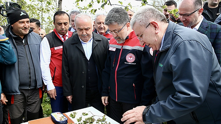 Yumaklı'dan zirai don açıklaması: 16 meyve türü için destek verilecek!