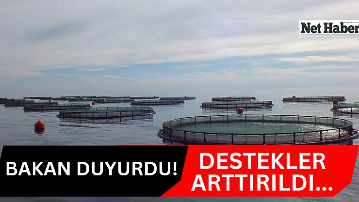 Bakan duyurdu! Destekler arttırıldı...